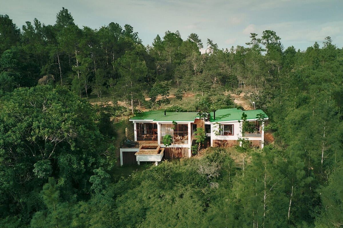Una casa moderna con techo verde, rodeada de un bosque denso.