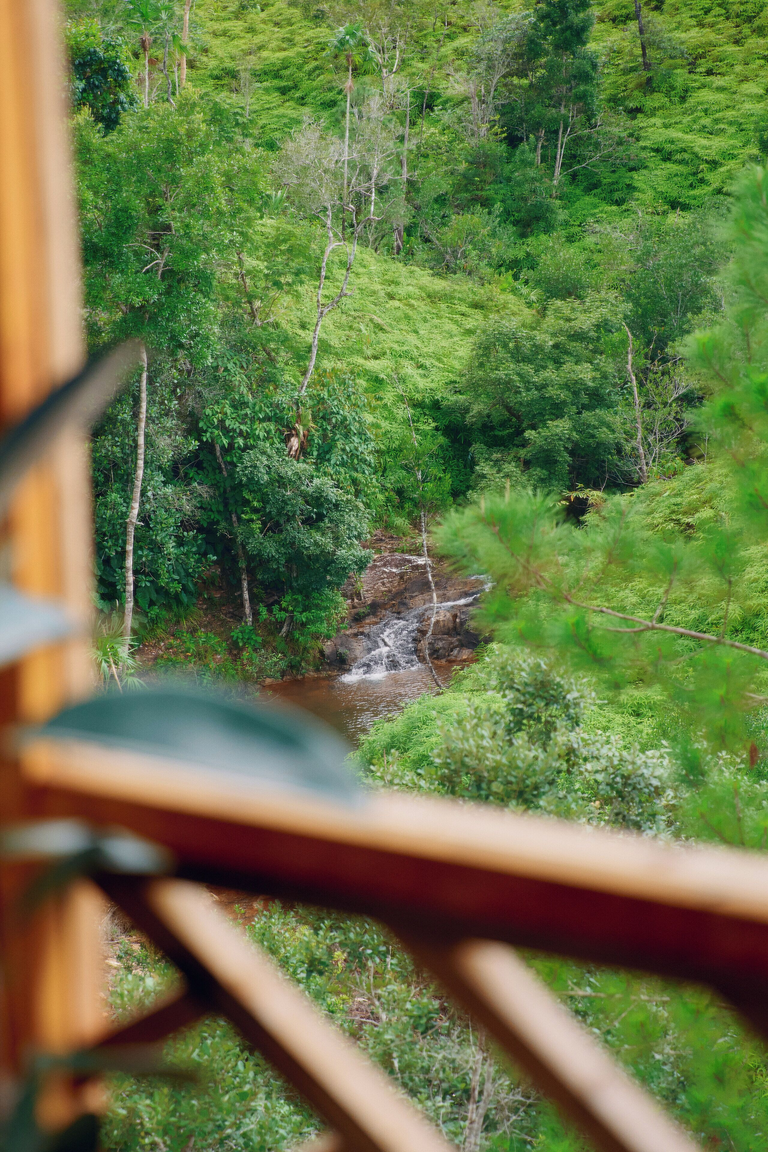 Wilderness Cascade | View from room