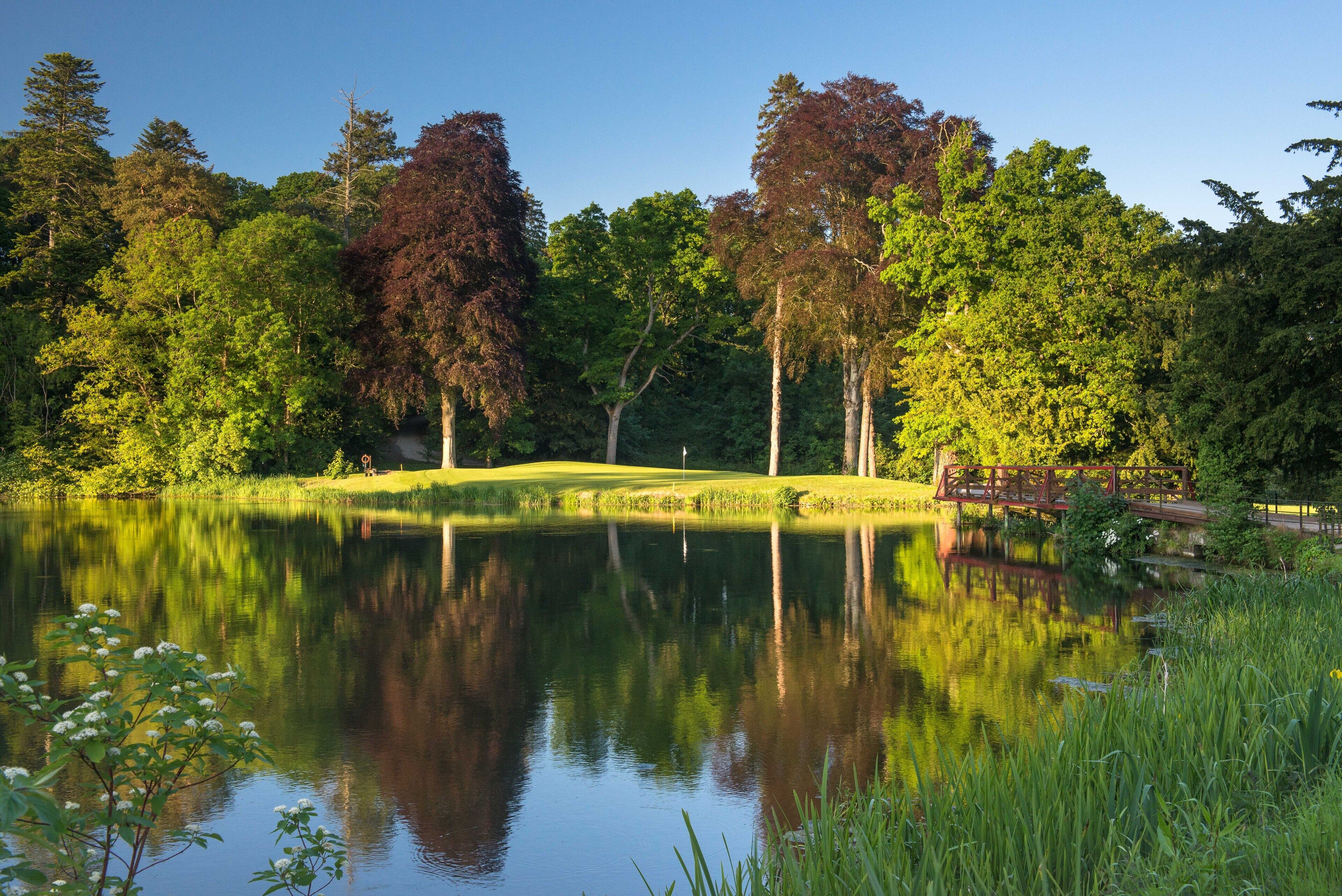 A serene lake surrounded by lush greenery and a wooden bridge.