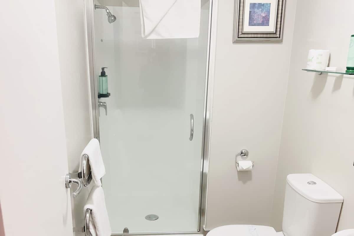 A modern bathroom with a glass shower enclosure, a toilet, and a sink.