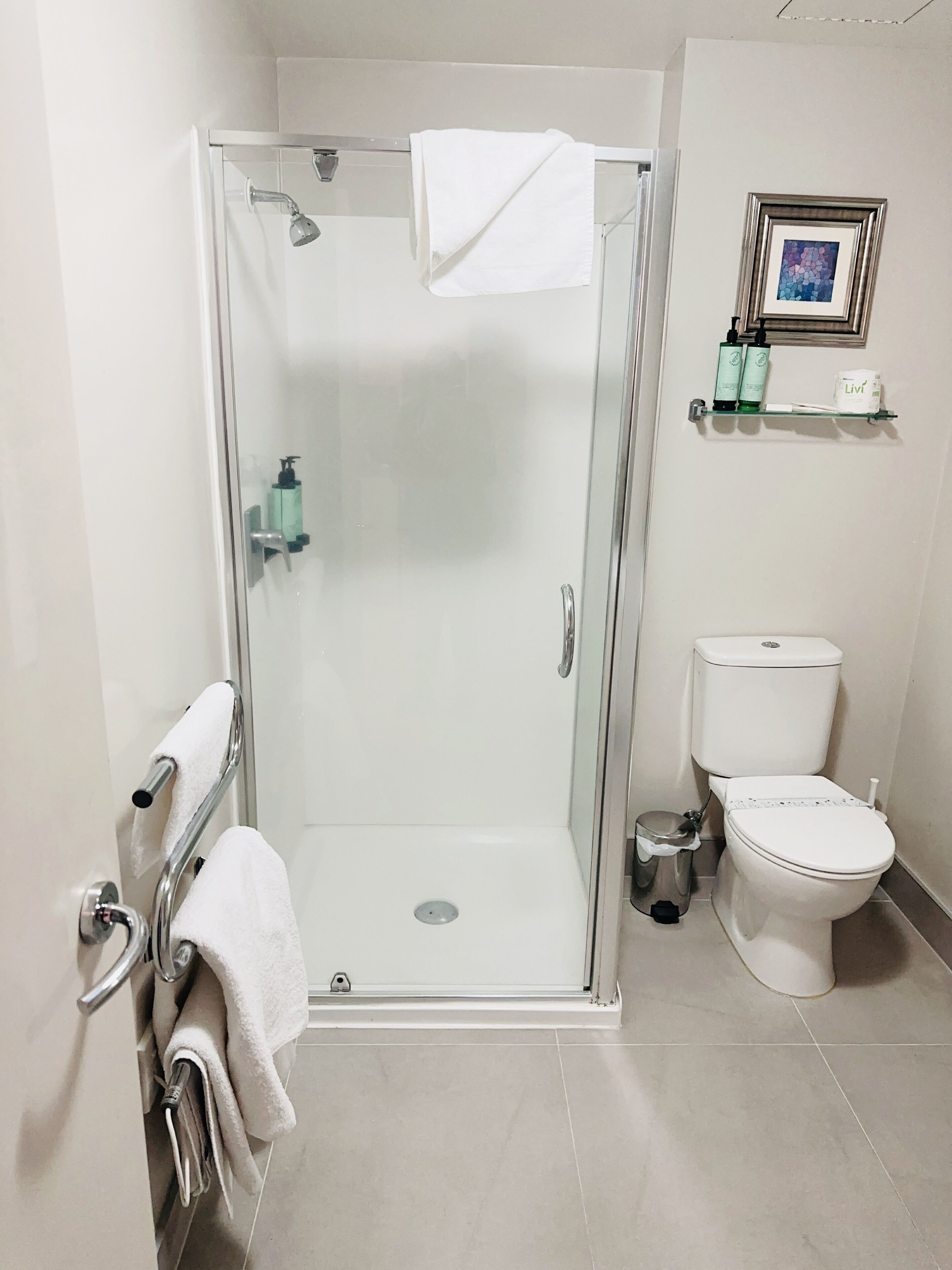Un baño moderno con ducha envuelta en vidrio, un inodoro y un estante con artículos de aseo.