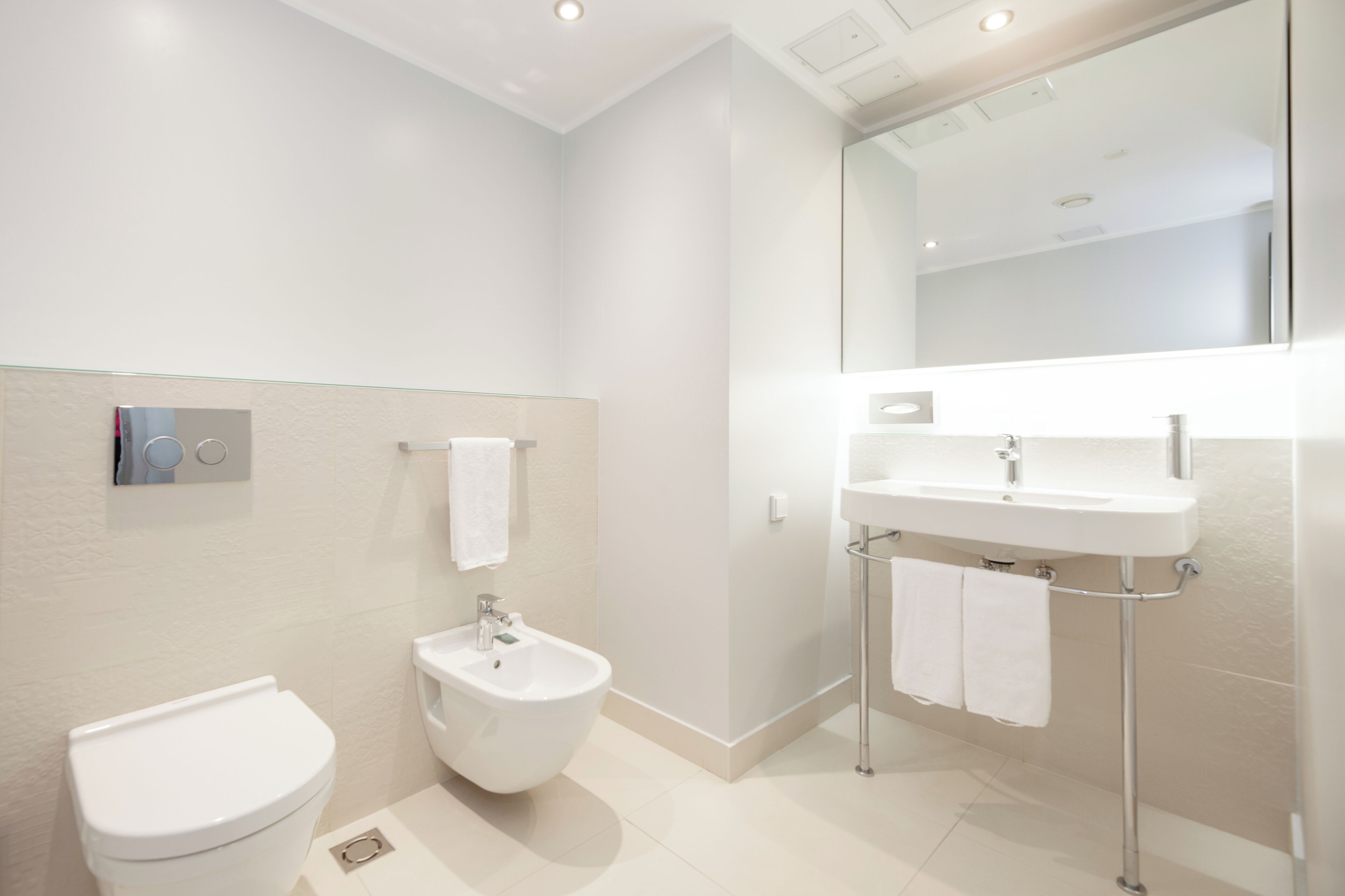 premium suite, 1 double bed with sofa bed, sauna | bathroom | eco-friendly toiletries, hair dryer, towels