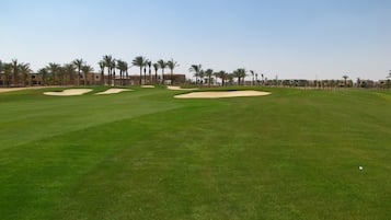 Mini-golf