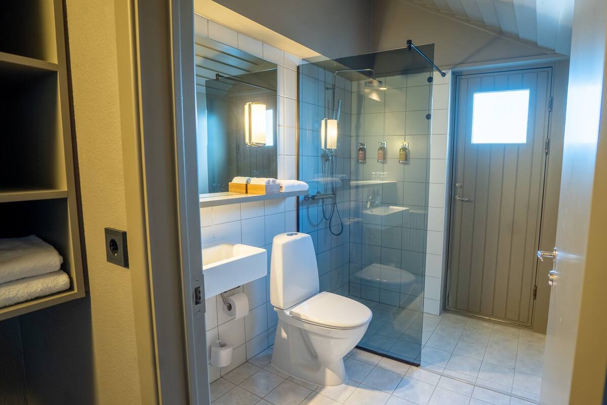 shower, free toiletries, hair dryer, towels