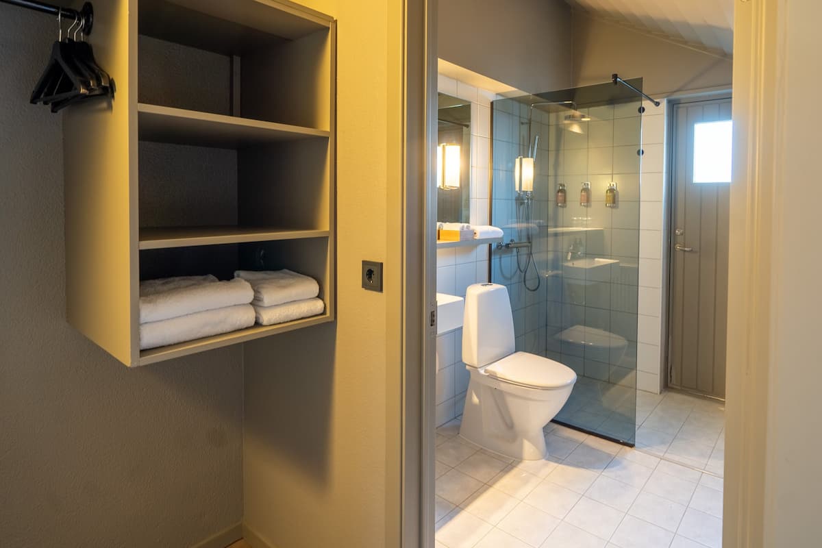 shower, free toiletries, hair dryer, towels