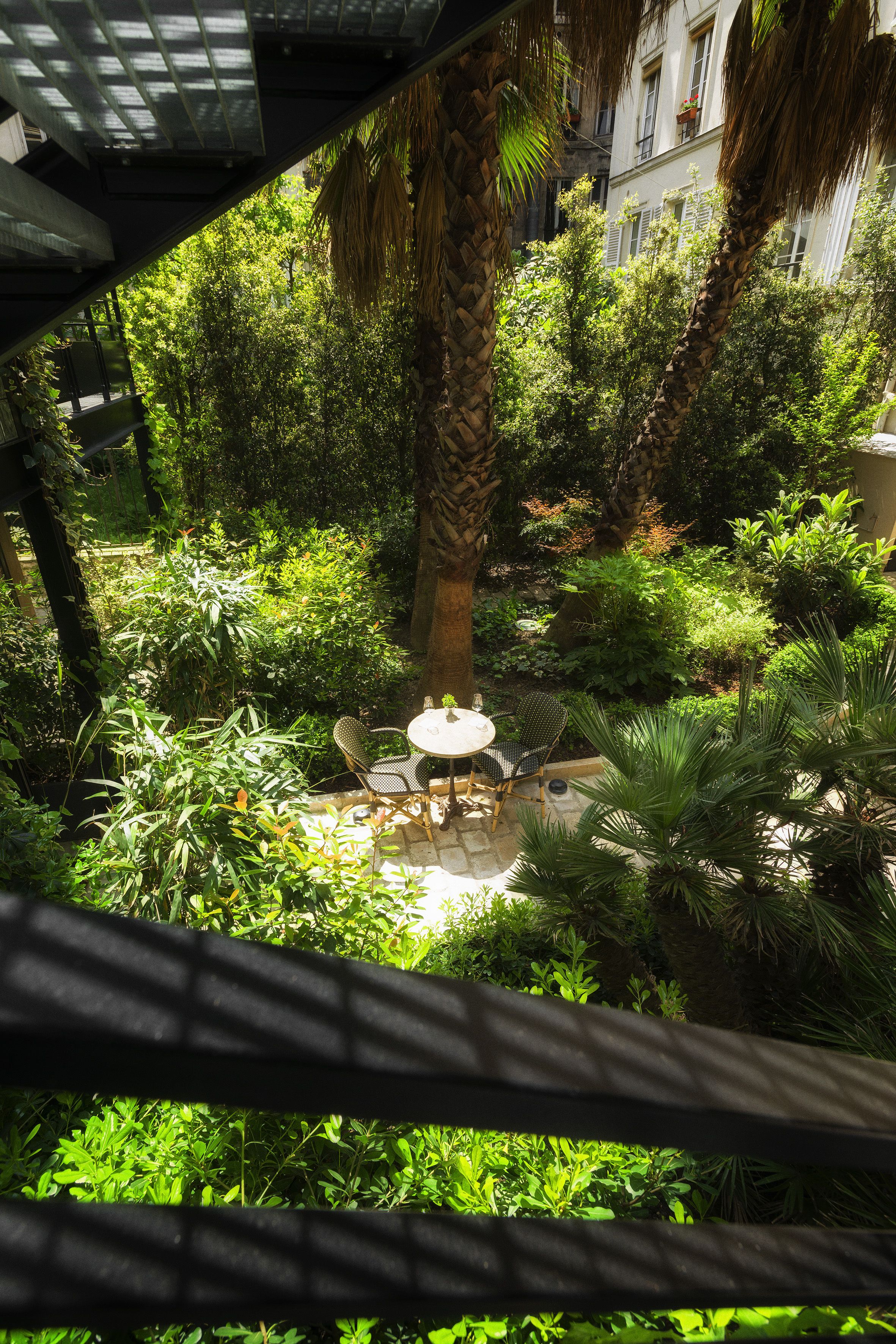 A lush garden with a table and chairs, surrounded by various plants and a palm tree.