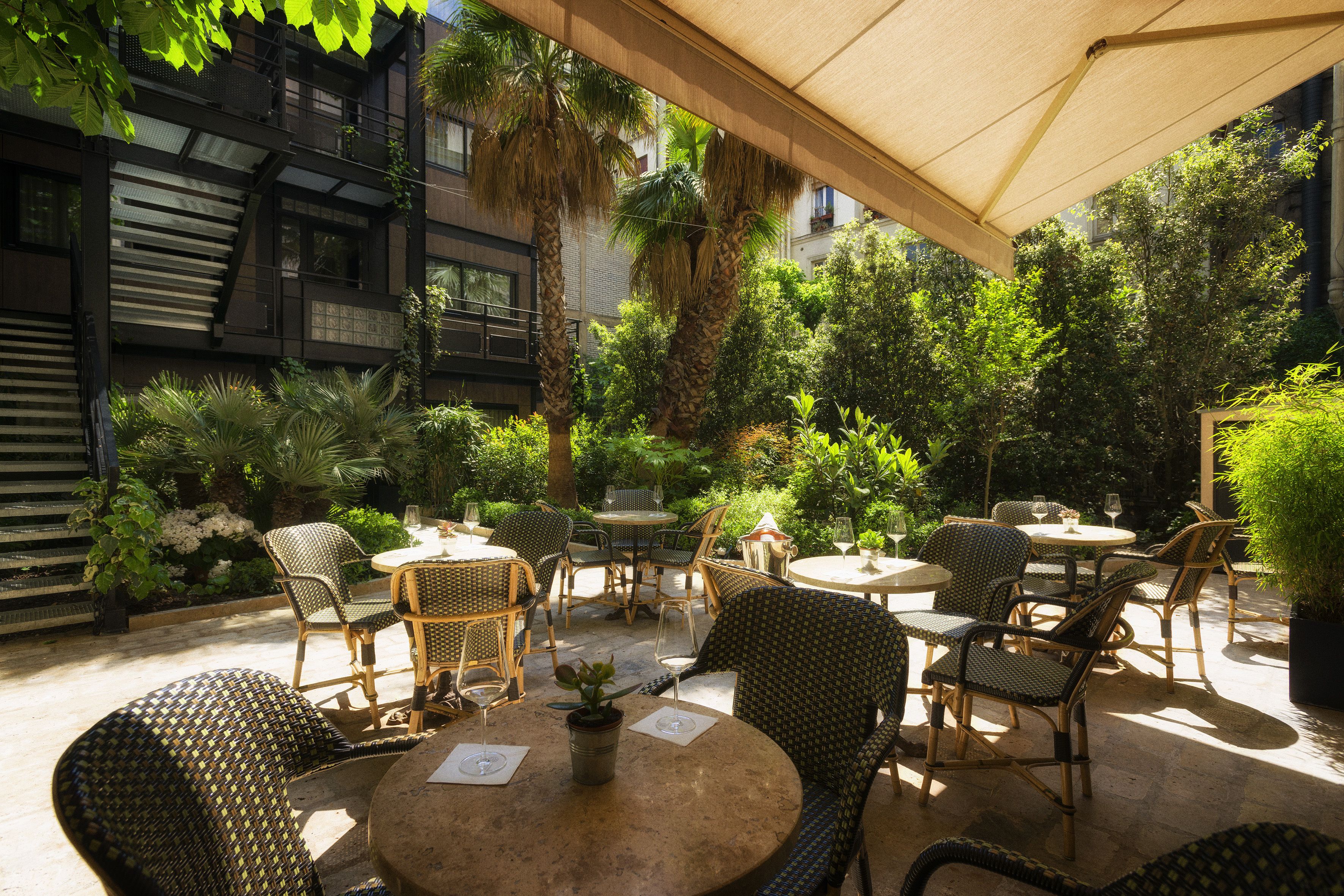 Un patio al aire libre con mobiliario de mimbre, palmeras y una zona cubierta.