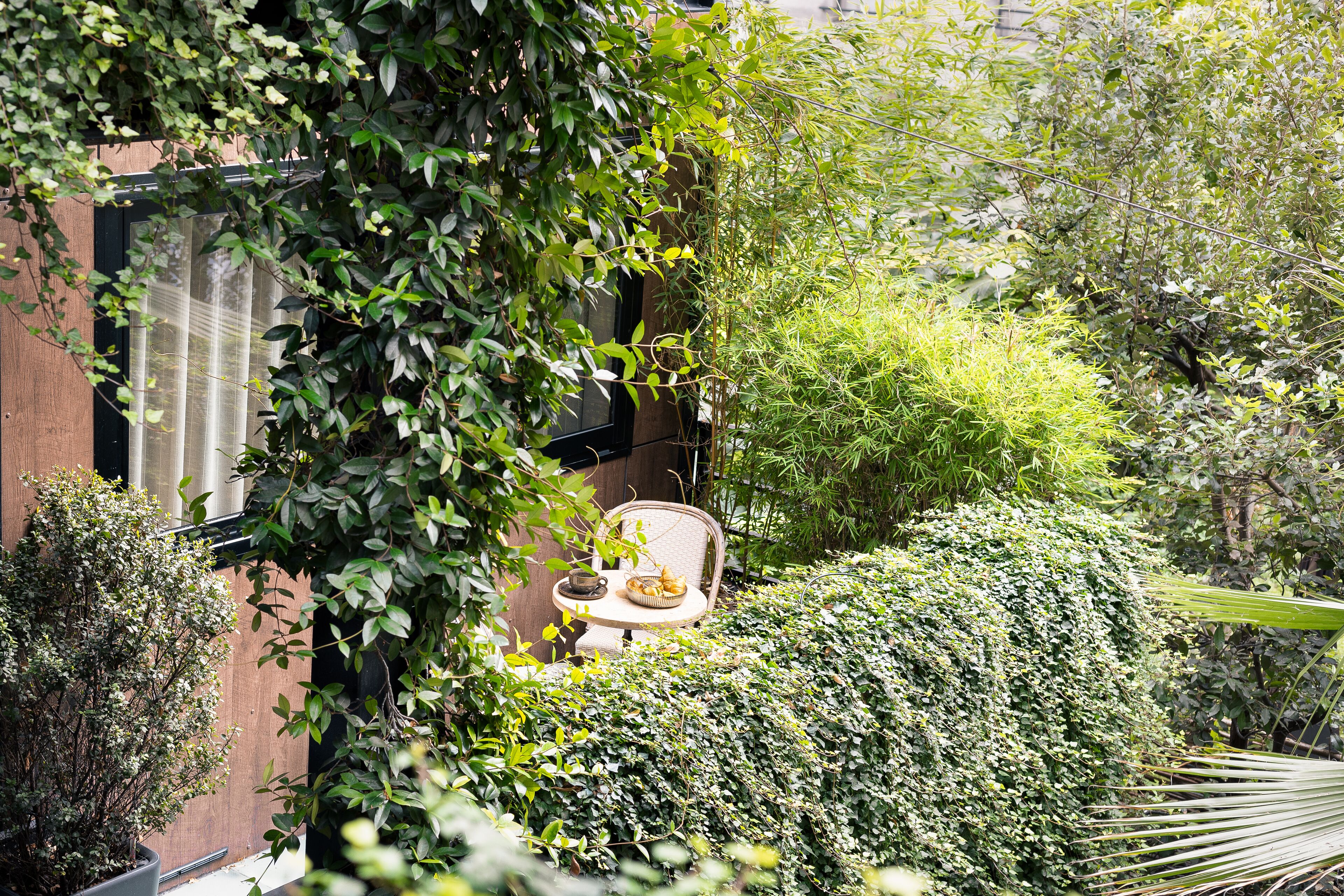 Un jardin avec une chaise et une table, entouré d’une végétation luxuriante et avec un bâtiment visible au loin.