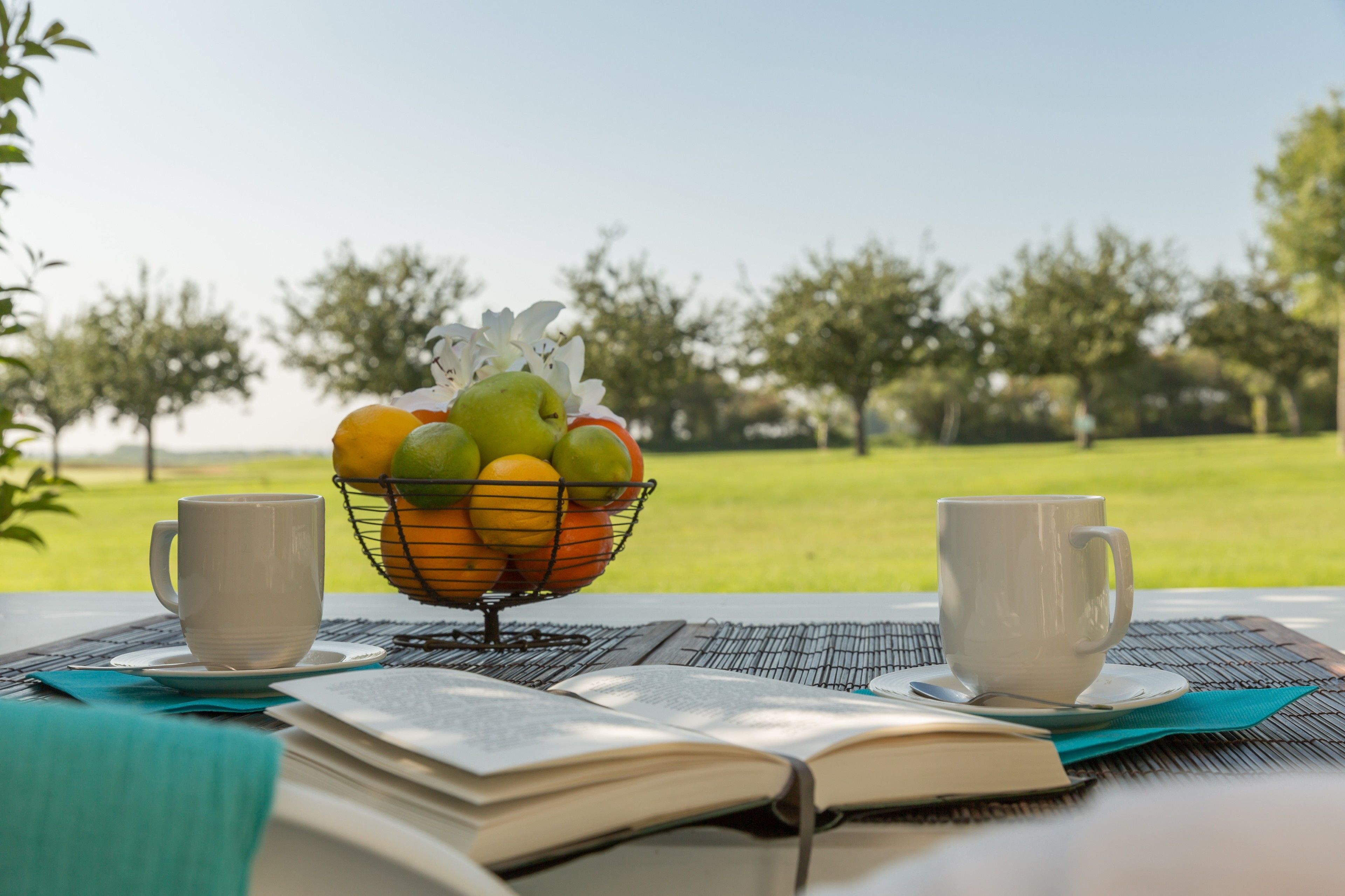 Una mesa con una cesta de frutas, dos tazas y un libro abierto.