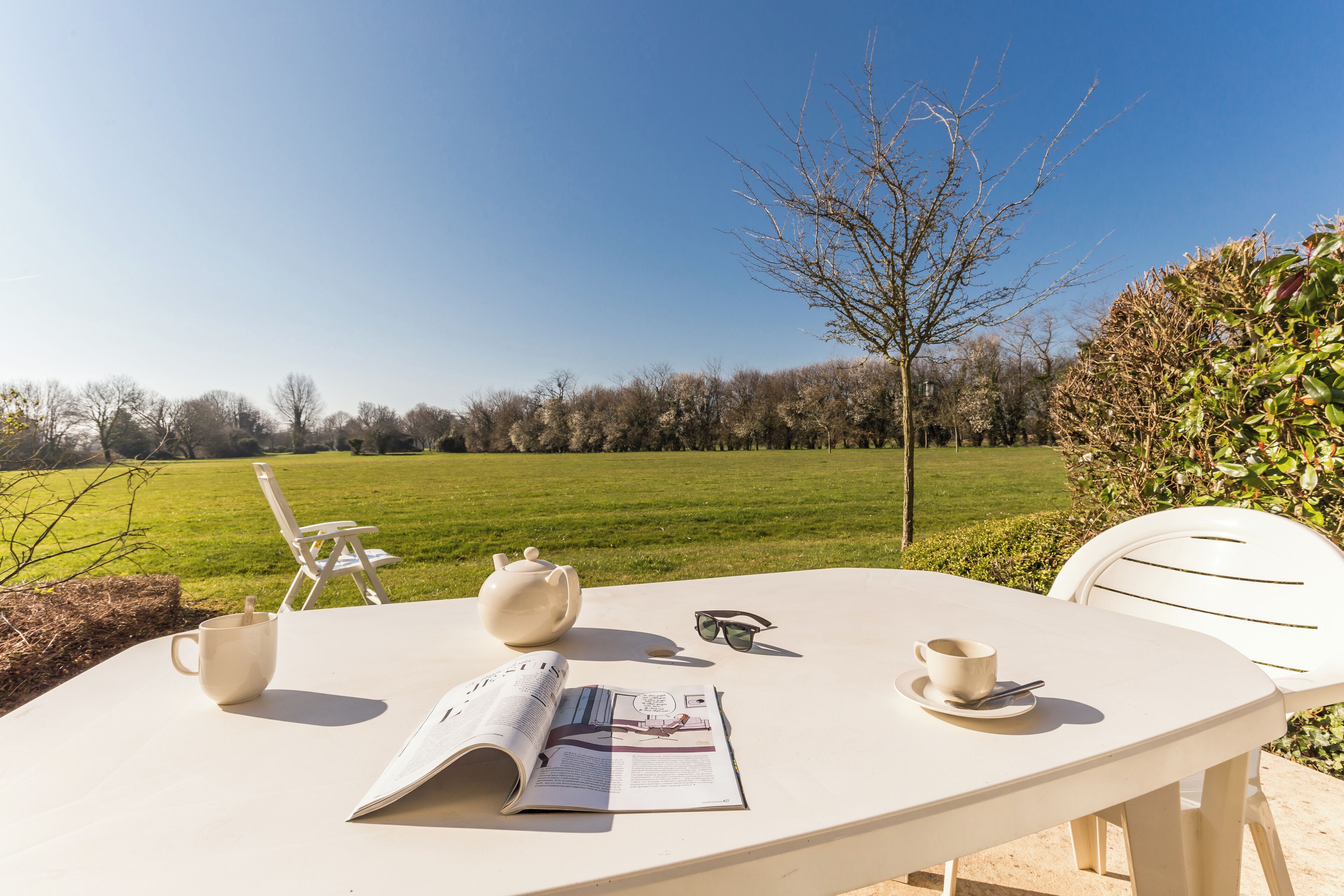 Una mesa con un libro, tetera, vasos y tazas, ubicada al aire libre con vista a un campo cubierto de hierba y árboles.