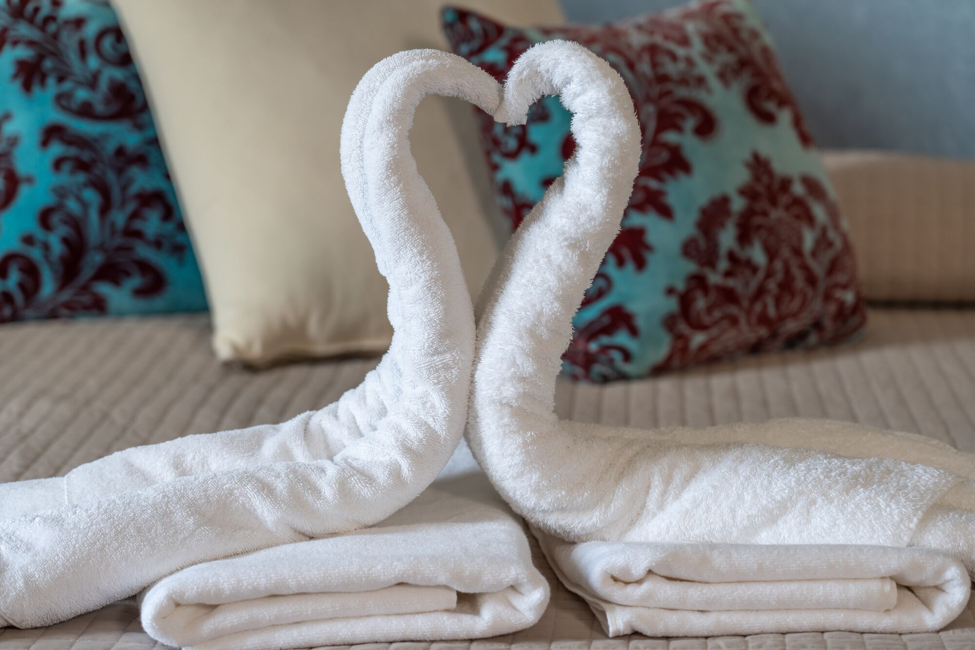 Photo - Four Seasons Hotel