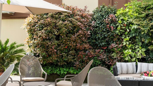 An outdoor seating area with wicker chairs and a sofa, surrounded by a hedge and a building with a window. - Hotel Mini Palace Country House (Molinella)