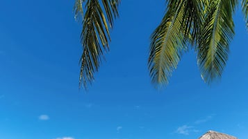 An overwater bungalow with a thatched roof, surrounded by clear turquoise water and lush greenery.