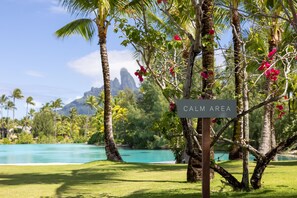 A sign indicating a 'CALM AREA' in a tropical setting with palm trees and a clear blue sky.