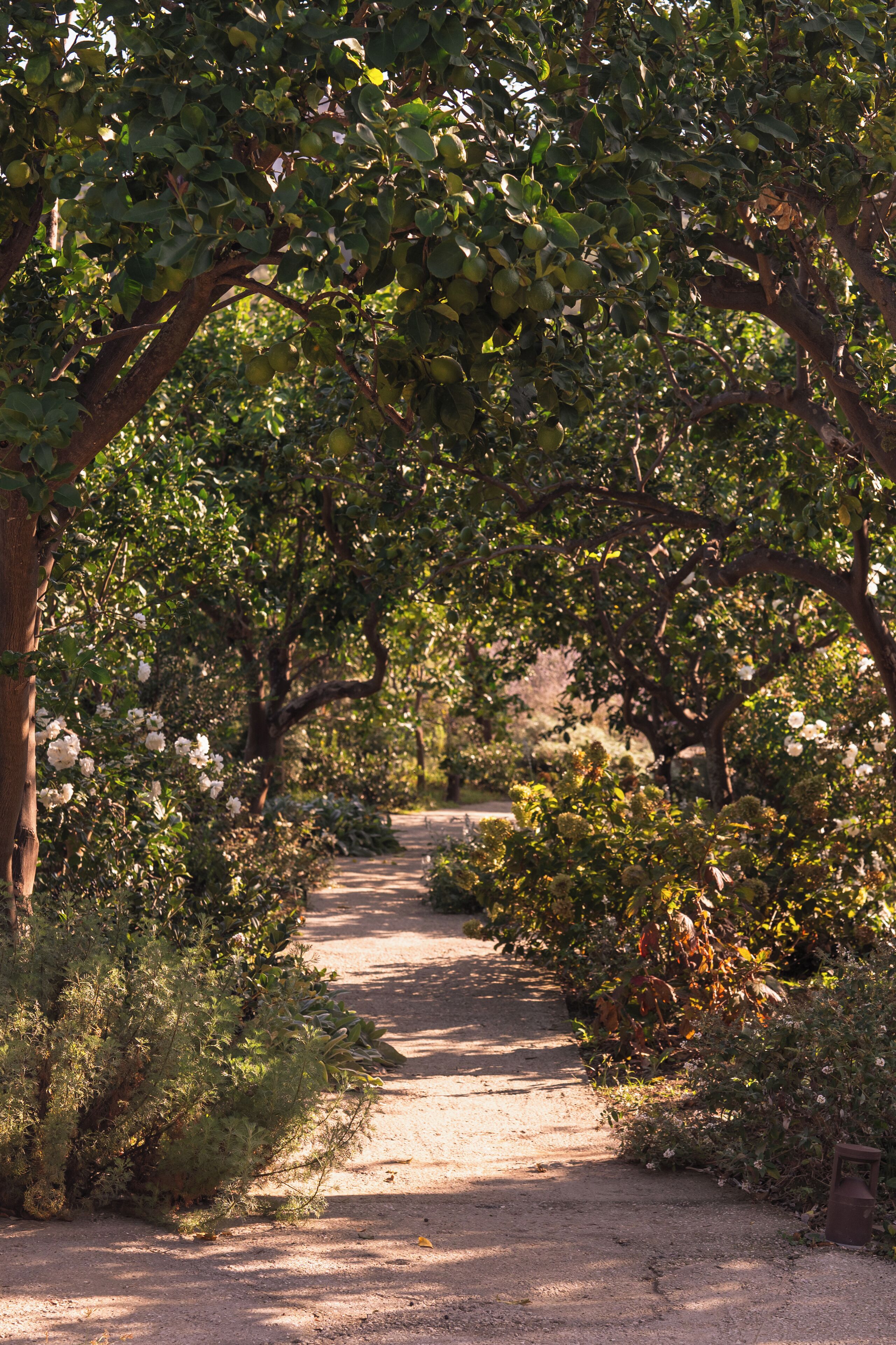 Photo - Relais Regina Giovanna