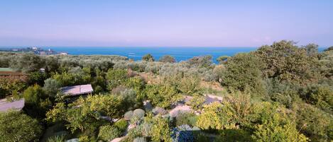 A garden with various plants and a small building, overlooking a coastal area.