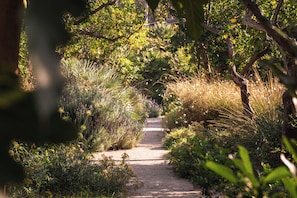 Jardí