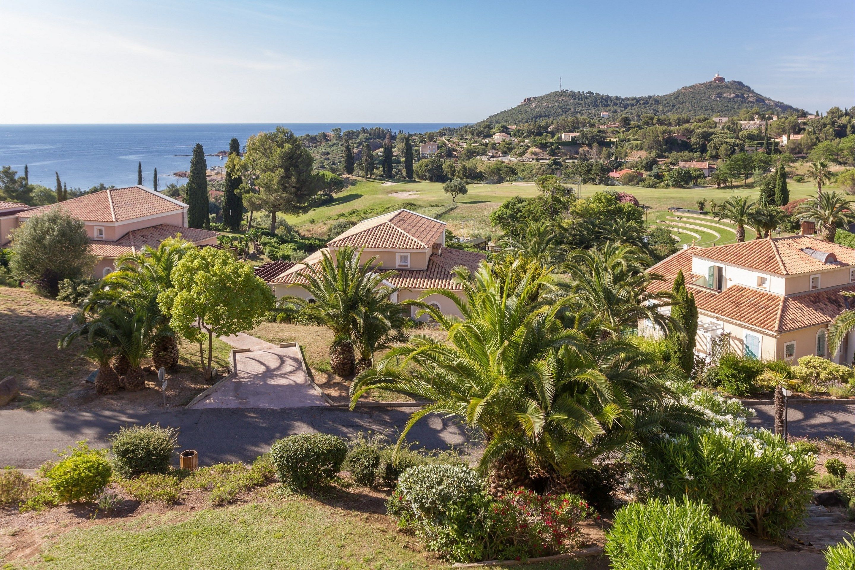 A residential area with houses, palm trees, and a view of the sea.