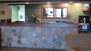 Un mostrador de recepción con fachada de piedra, una barra de madera, un espejo sobre la barra y una silla a la derecha.