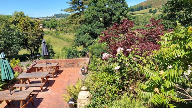 Un patio con mesas y bancos de madera, rodeado de abundante follaje y plantas con flores.