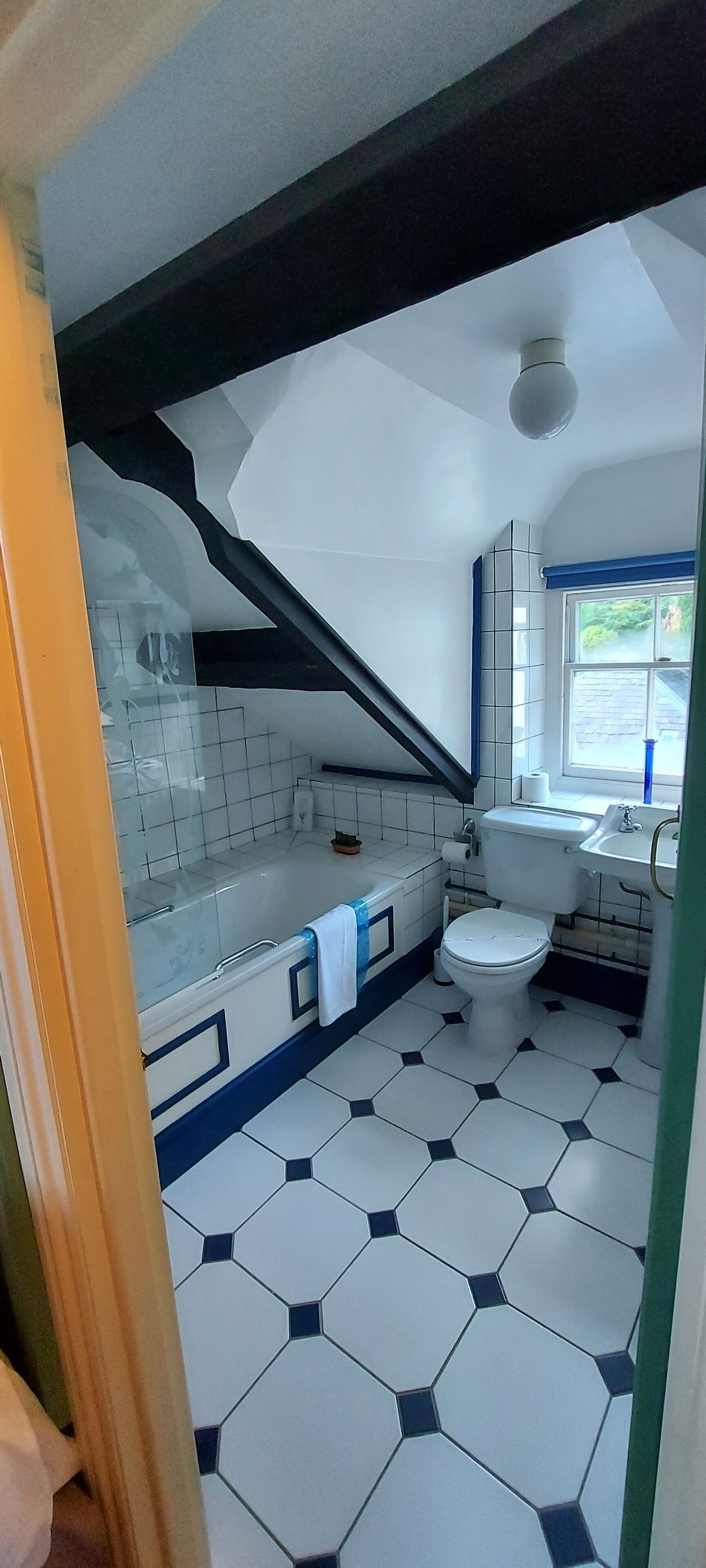 A bathroom with a white and blue tiled floor, a white toilet, a bathtub, and a window with a view of the outside.