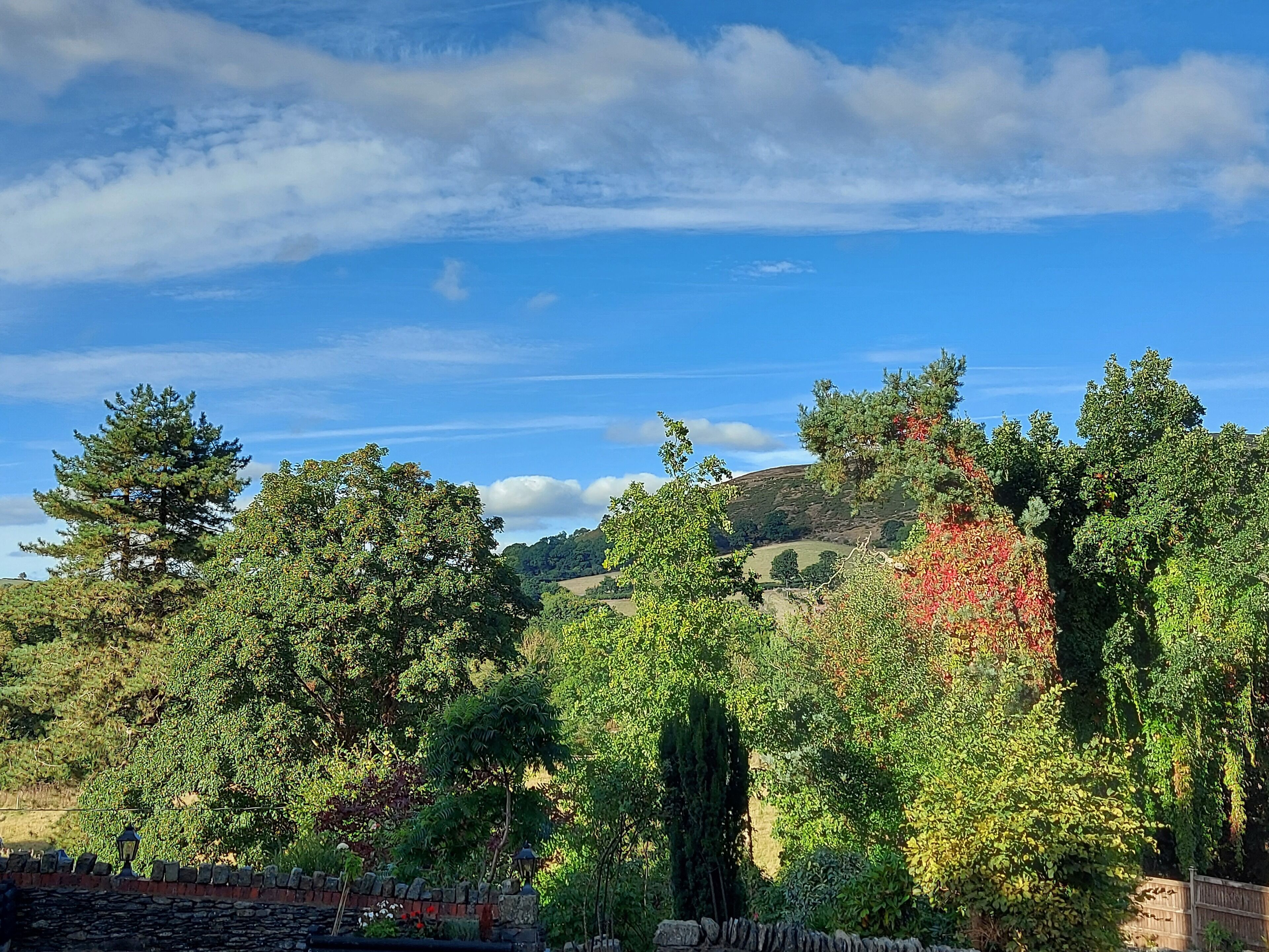 A landscape with a stone wall, trees, and a hill in the background.