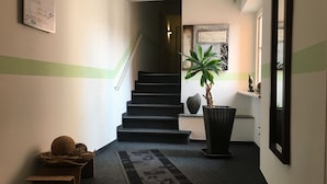 Un escalier avec une bande verte peinte sur le mur, une plante en pot et un panier tress é posé sur le sol.