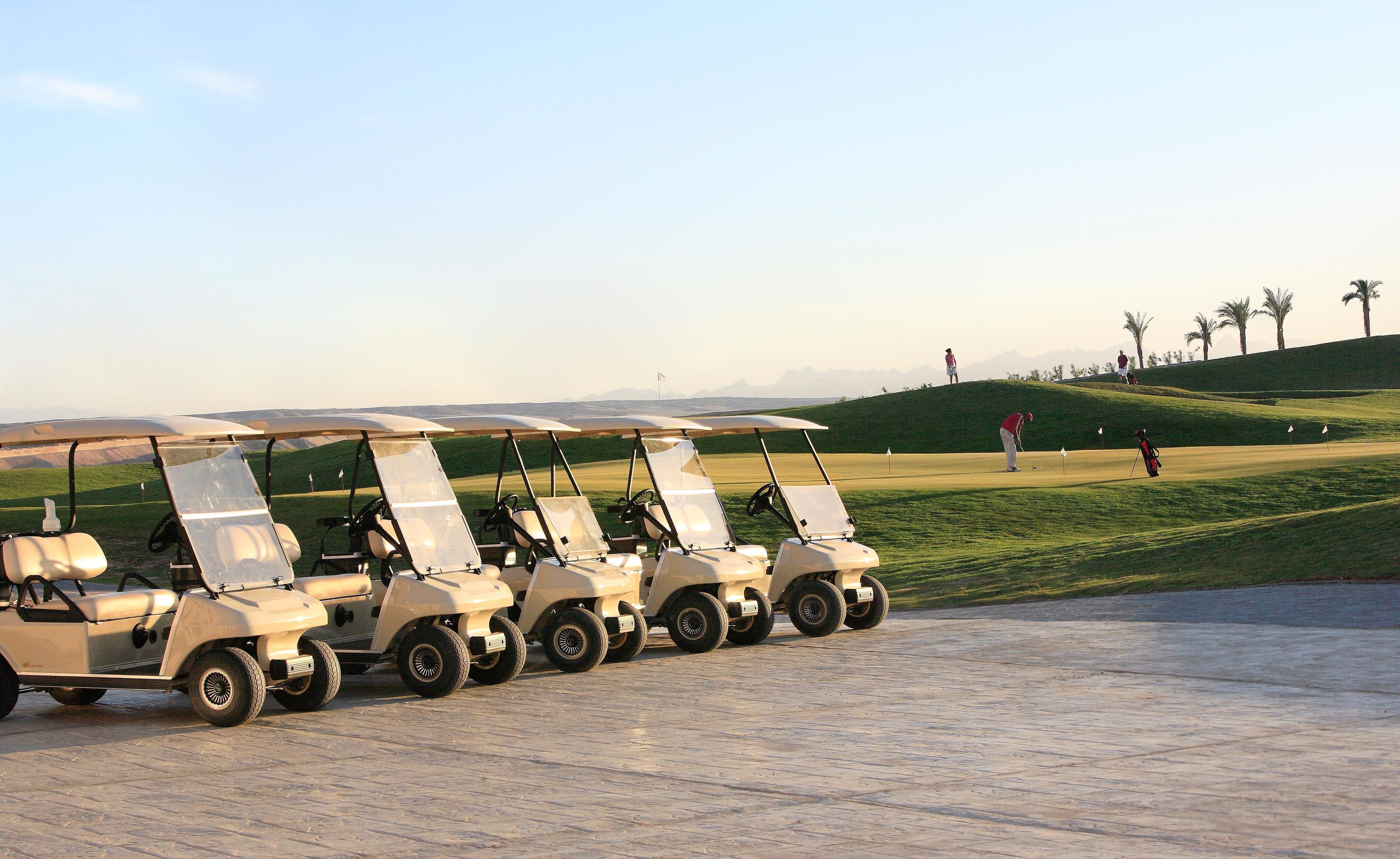 A row of golf carts parked on a paved area with a golf course in the background.