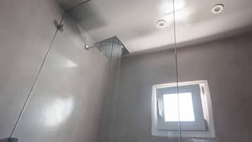 A shower with a square window, a visible showerhead, and a ceiling light fixture.