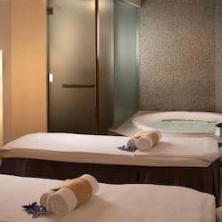Hot tub, body treatments, aromatherapy, Swedish massages, body scrubs