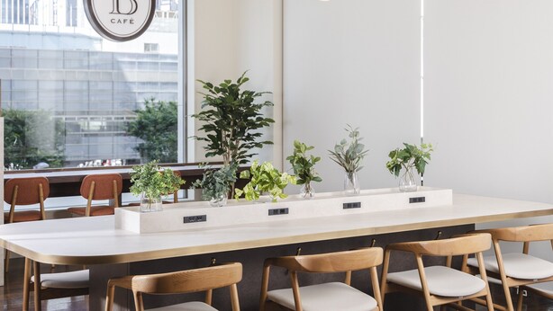 Un interior de cafetería moderna con una barra larga, sillas de madera y plantas en macetas.