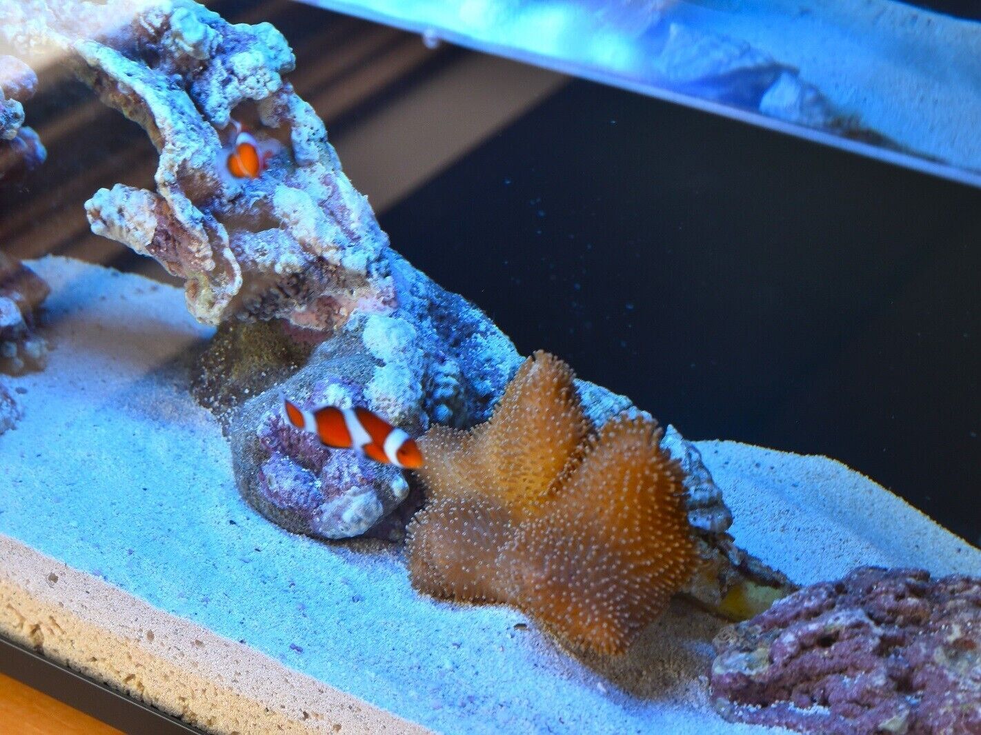 1 bedroom, premium bedding, desk, laptop workspace