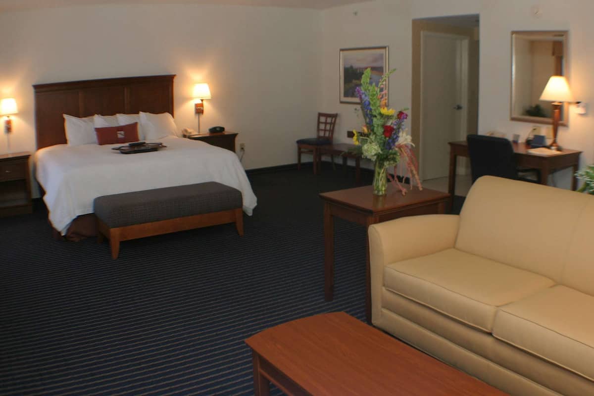 Suite, 1 King Bed, Non Smoking | Premium bedding, individually decorated, individually furnished, desk
