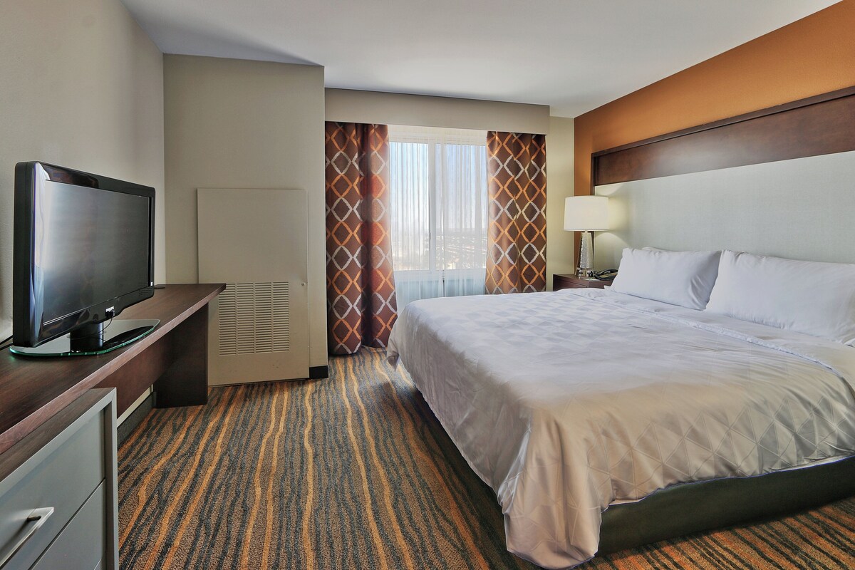 Suite, 1 King Bed with Sofa bed (Additional Living Area) | In-room safe, desk, laptop workspace, blackout drapes