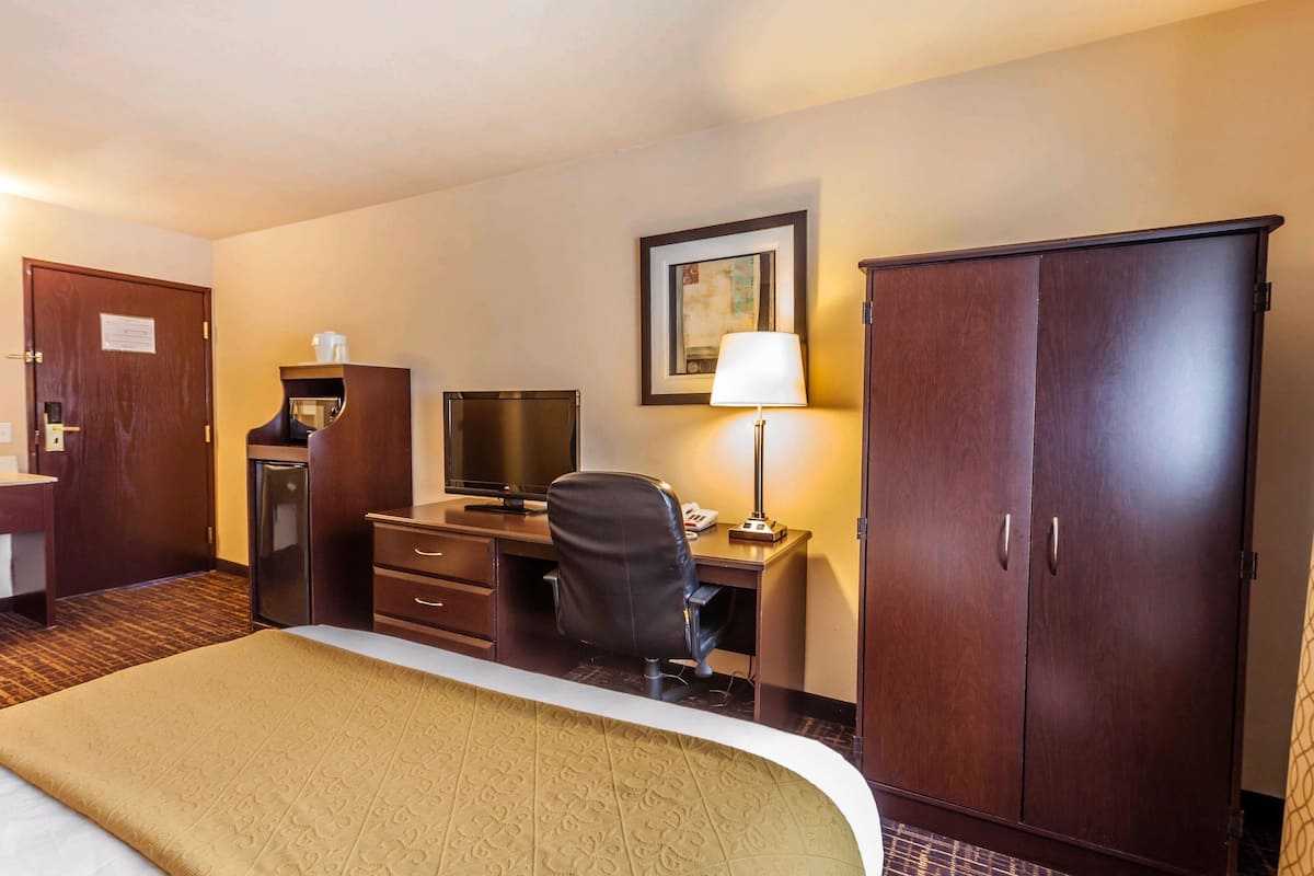 Standard Room, 1 Queen Bed, Non Smoking | In-room safe, individually decorated, individually furnished, desk