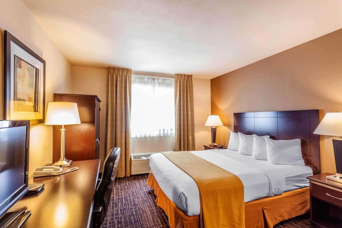 Standard Room, 1 Queen Bed, Non Smoking | In-room safe, individually decorated, individually furnished, desk