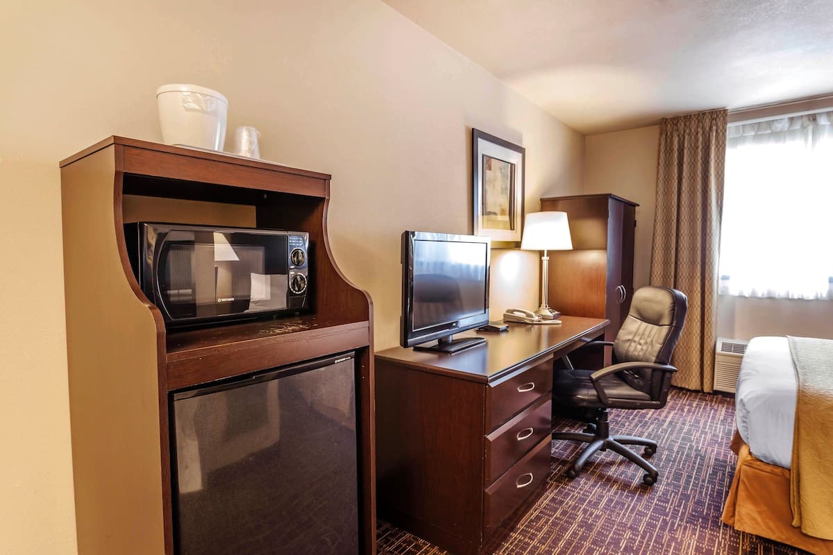 Standard Room, 1 Queen Bed, Non Smoking | In-room safe, individually decorated, individually furnished, desk