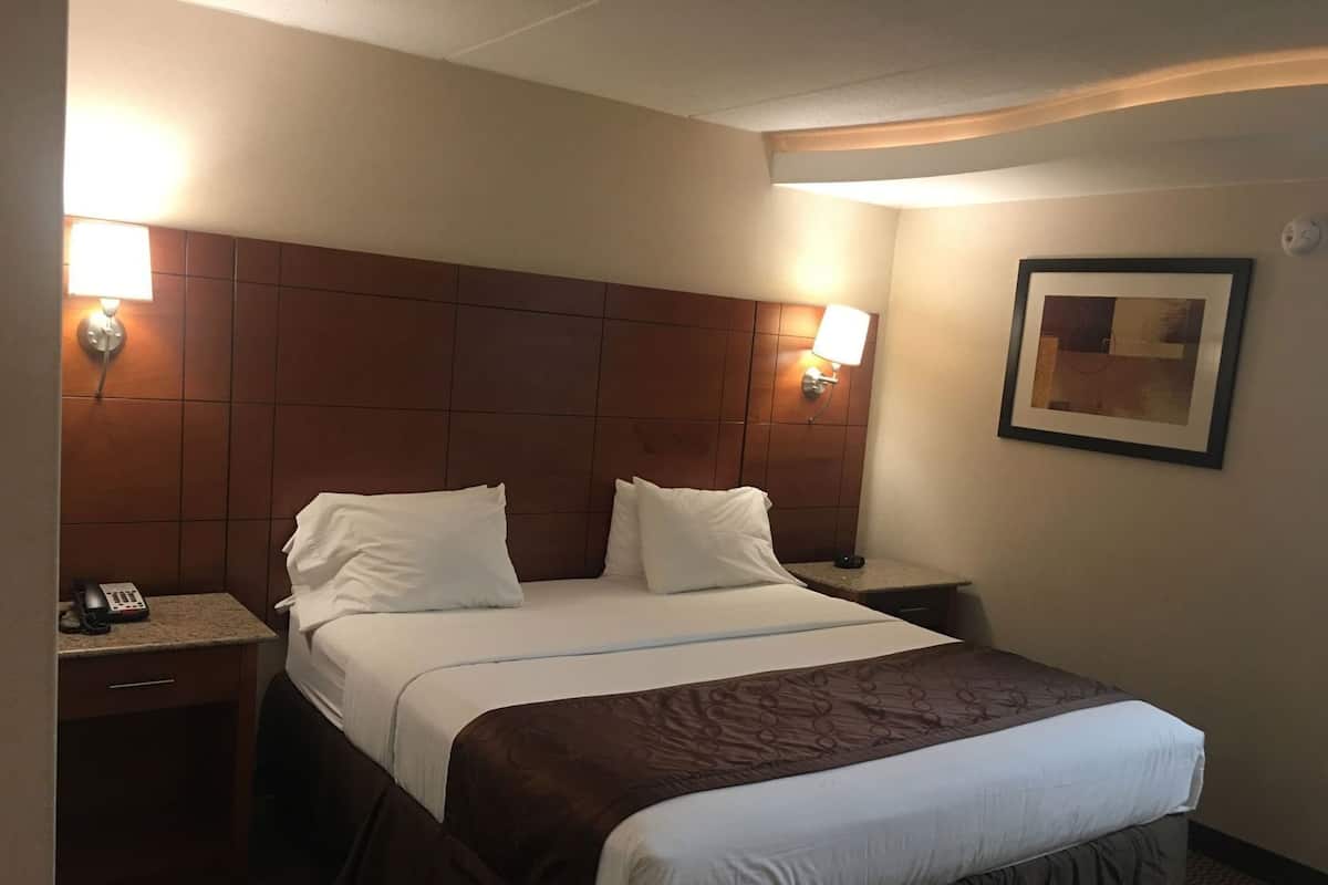 1 bedroom, Egyptian cotton sheets, premium bedding, down duvets