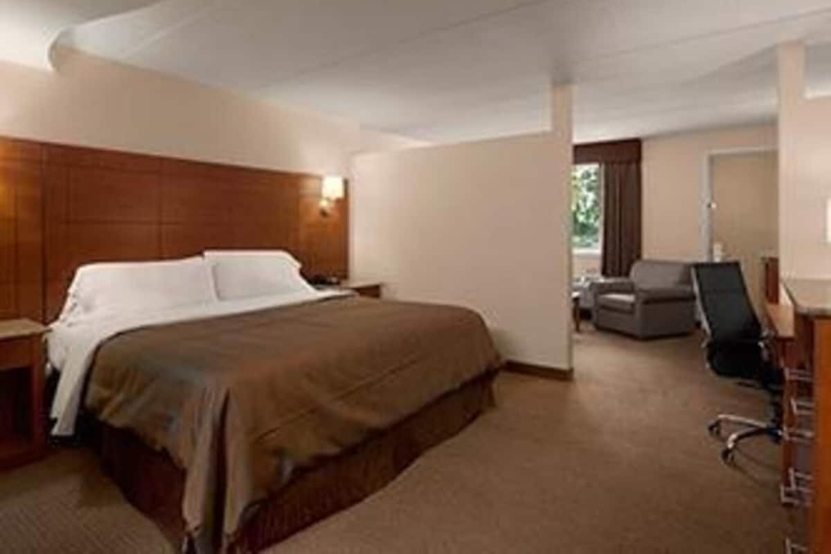 1 bedroom, Egyptian cotton sheets, premium bedding, down duvets