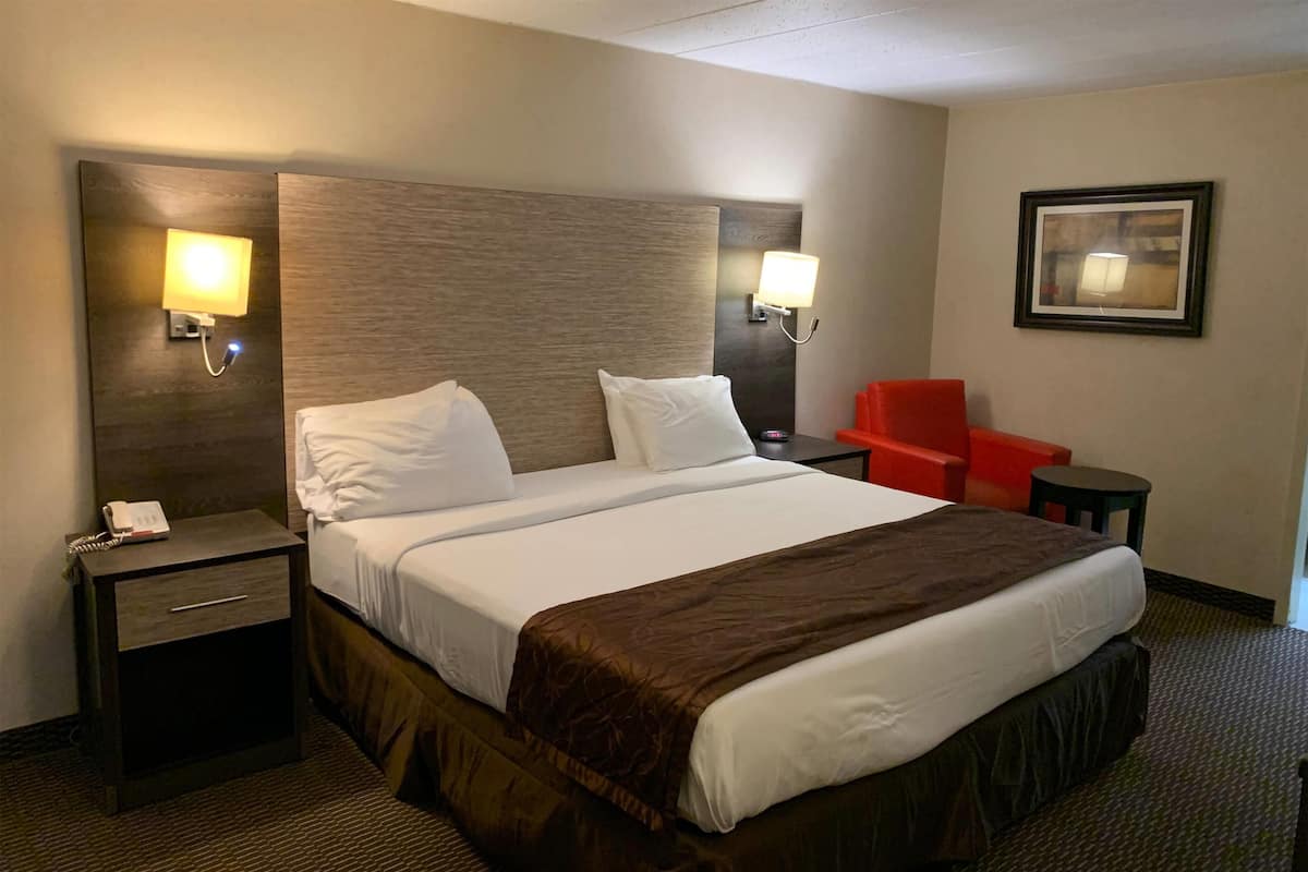 1 bedroom, Egyptian cotton sheets, premium bedding, down comforters