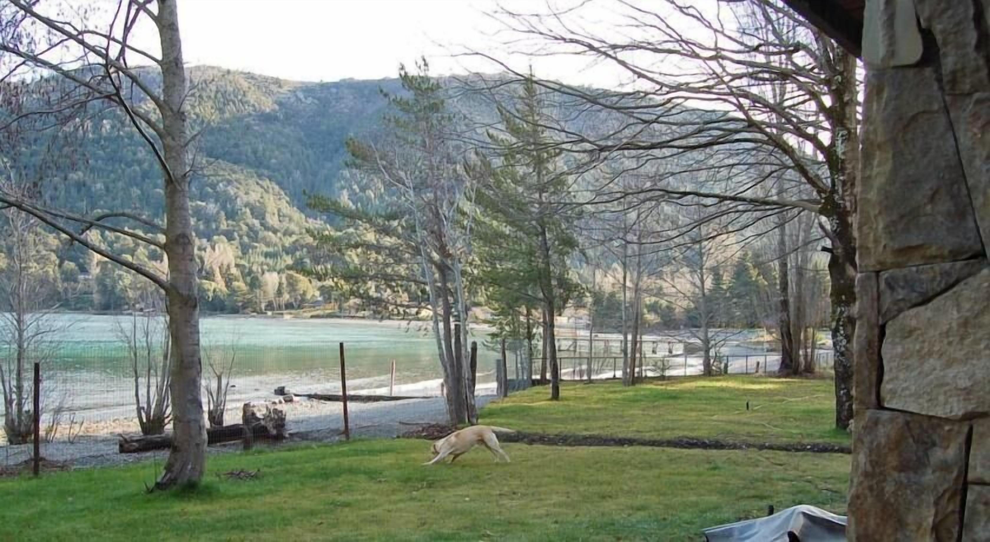 A grassy area with trees and a view of a lake and mountains.