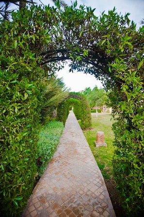 Jardí