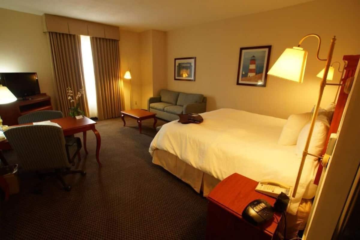 A hotel room with a bed, a desk, a chair, a sofa, a TV, lamps, and a painting.