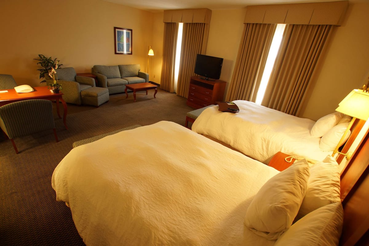 A hotel room with two beds, a sofa, a desk, a television, and a plant.