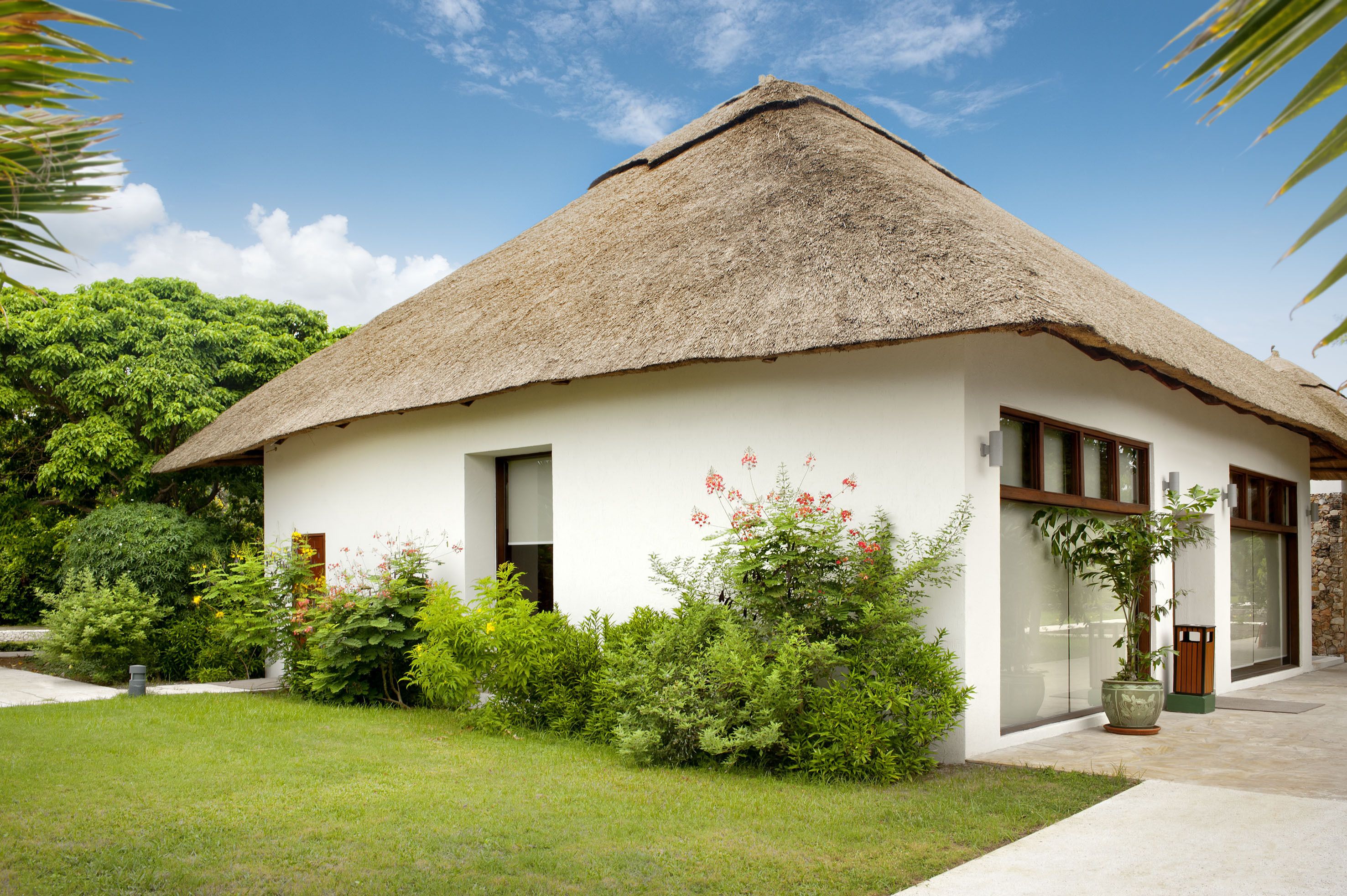 A thatched-roof house with a white exterior, surrounded by lush greenery and a clear sky.