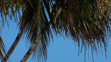 On the beach, white sand, beach cabanas, sun loungers