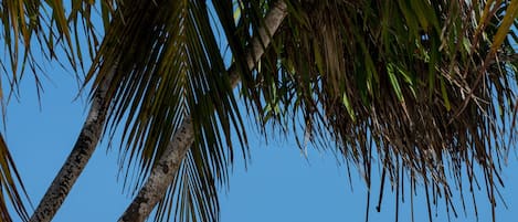 Sulla spiaggia, sabbia bianca, cabine (a pagamento), lettini da mare