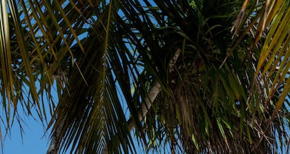 Melia Zanzibar