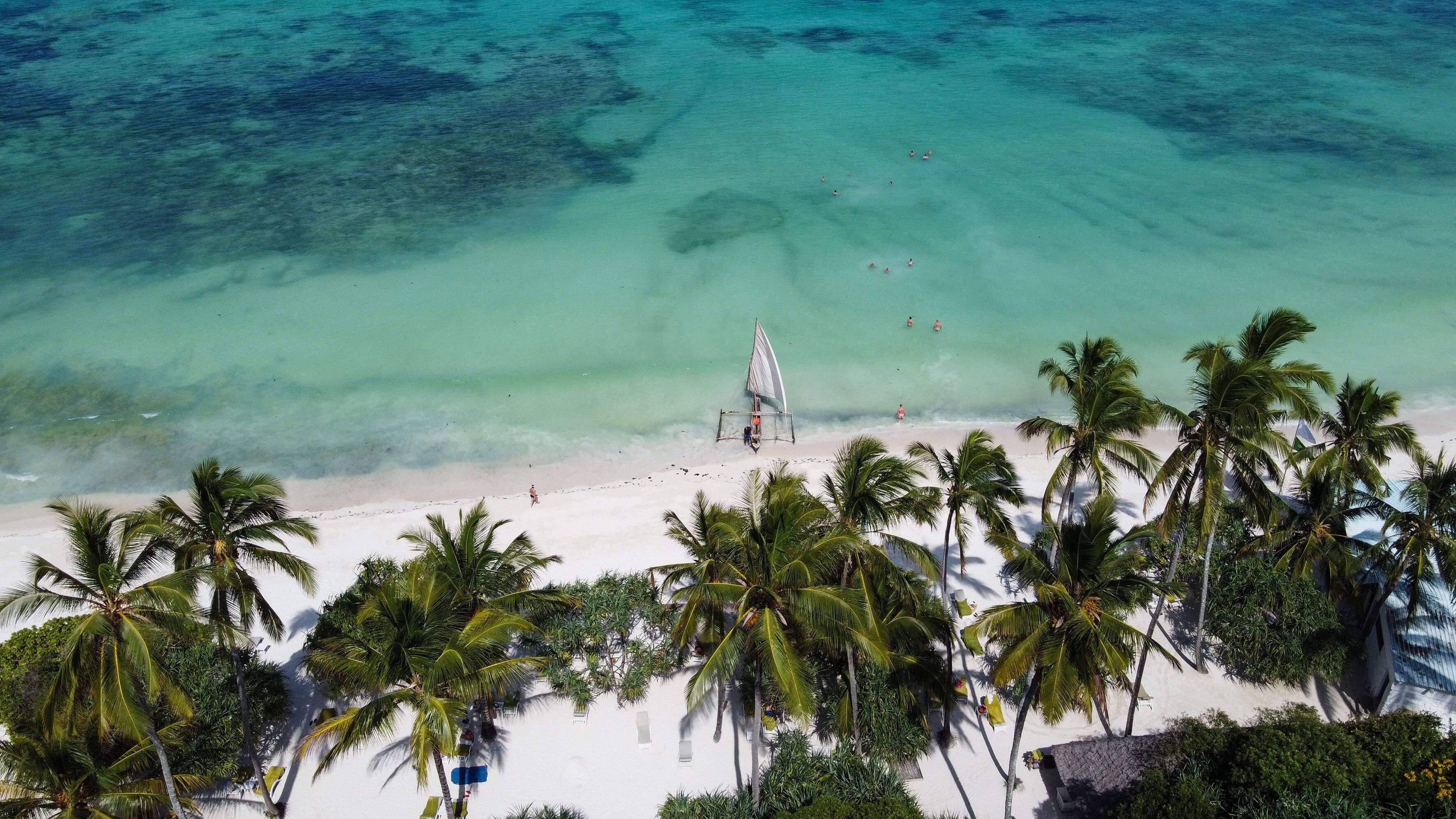 An aerial view of a beach with white sand, clear turquoise water, and palm trees.