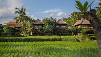 Vistas desde el alojamiento